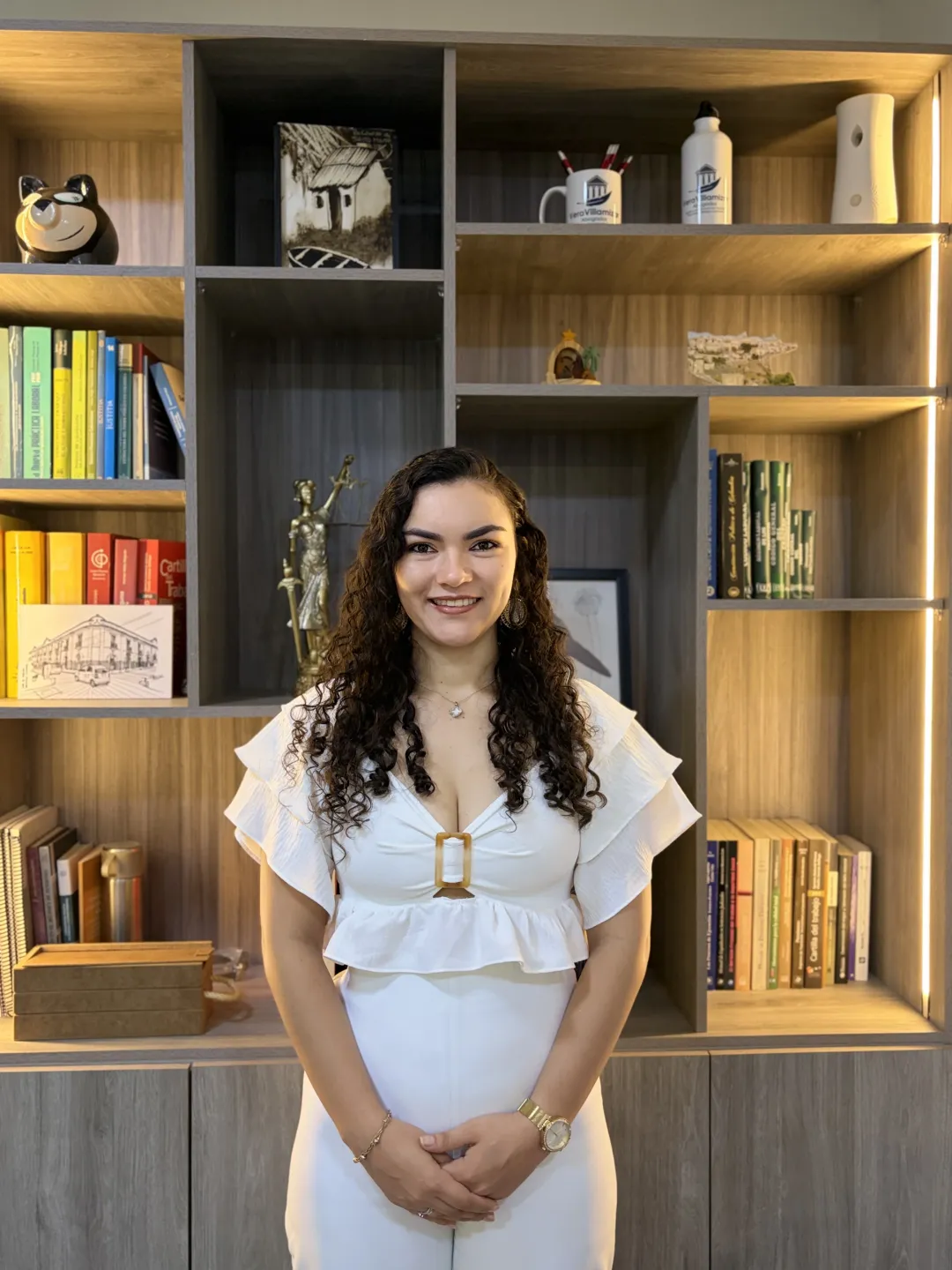 Vera Villamizar Abogados
